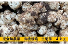 神奈川県　生菊芋　4ｋｇ＜出荷時期:2024年11月29日～2025年2月16日出荷終了＞【 菊芋 きくいも 国産 神奈川県 山北町 】