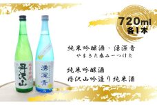 【先行予約】湧深青やまきた春みーつけた720ml×1本＆丹沢山吟造り純米酒720ml×1本（オリジナルカード付）＜出荷開始：2024年2月10日～2024年5月7日＞【 飲み比べ 飲み比べセット 期間限定 酒 お酒 日本酒 純米 純米吟醸 4合瓶 2本セット 720ml 丹沢山 高級 熱燗 ギフト お祝い 神奈川県 山北町 】