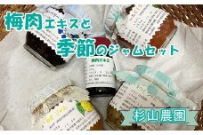杉山農園 Ａ 梅肉エキスと季節のジャムセット【 梅肉エキス 国産 自家製 ジャム 無添加 フルーツ 果物 詰め合わせ 食べ比べ 神奈川県 山北町 】