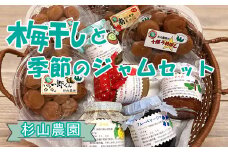杉山農園 Ｂ 梅干しと季節のジャムセット【 梅干し 国産 塩だけ 酸っぱい ジャム 無添加 フルーツ 果物 詰め合わせ 食べ比べ 神奈川県 山北町 】