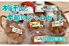 杉山農園 Ｆ 梅干しと季節のジャムセット【 梅干し 国産 塩だけ 酸っぱい ジャム 無添加 フルーツ 果物 詰め合わせ 食べ比べ 神奈川県 山北町 】