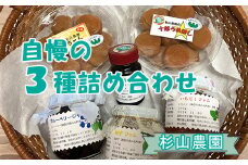 杉山農園 C 自慢の３種詰め合わせ【 梅干し 国産 塩だけ 酸っぱい ジャム 無添加 フルーツ 果物 梅肉エキス 自家製 詰め合わせ 食べ比べ 神奈川県 山北町 】