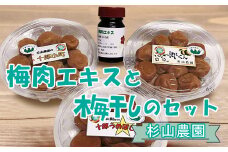 杉山農園 Ｇ 梅肉エキスと梅干しのセット【 梅干し 国産 塩だけ 酸っぱい 梅肉エキス 自家製 詰め合わせ 食べ比べ 神奈川県 山北町 】