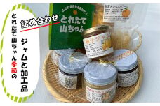とれたて山ちゃん季節のジャムと加工品【 ジャム 季節のジャム フルーツ 甘夏 ピール 柚子味噌 詰め合わせ 神奈川県 山北町 】