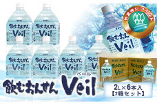 水 10年保存水 飲むおんせんベール2L×6本入【2箱セット】【 温泉水 温泉純度100％ 保存水 長期保存 備蓄 水 ミネラルウォーター 災害 災害用 備蓄用 10年 防災 水 保存水 備蓄水 防災用品 神奈川県 山北町 】