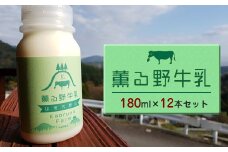 【牧場直送】薫る野牛乳180ml×12本セット　ノンホモ　低温殺菌　ジャージー牛　山地酪農　24時間365日放牧＜出荷開始：2025年11月以降順次出荷＞【 神奈川県 山北町 】