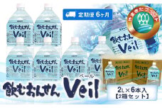 【定期便6ヶ月】飲むおんせんベール2L×6本入【2箱セット】【 温泉水 温泉純度100％ 保存水 防災 神奈川県 山北町 】