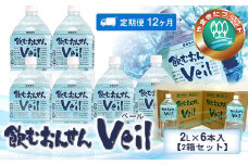 【定期便12ヶ月】飲むおんせんベール2L×6本入【2箱セット】【 温泉水 温泉純度100％ 保存水 防災 神奈川県 山北町 】