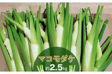 【先行予約】収穫したてを発送します　　マコモダケ　約２．５㎏〈出荷時期:2025年10月中旬～2025年11月中旬頃〉