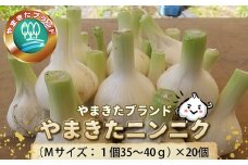 【数量限定】やまきたブランド「やまきたニンニク」（Ｍサイズ：１個35～40ｇ）×20個