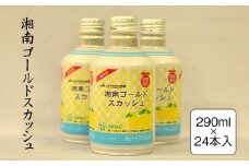 湘南ゴールドスカッシュ　290ml×24本入り【 神奈川県 山北町 】
