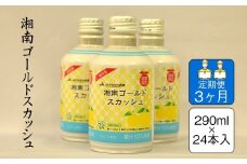 【定期便3ヶ月】湘南ゴールドスカッシュ　290ml×24本入り【 神奈川県 山北町 】
