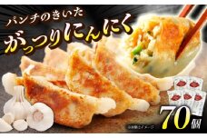 （5パック）餃子屋ヒロの がっつりにんにく餃子【餃子屋ヒロ】餃子 ぎょうざ ギョウザ ギョーザ 冷凍餃子 豚肉 豚 ミンチ 餃子 神奈川 冷凍 餃子 ぎょうざ ギョウザ ギョーザ 冷凍 餃子 おかず お惣菜 餃子 ぎょうざ ギョウザ ギョーザ 豚肉 豚 ミンチ 冷凍 餃子 ぎょうざ ギョウザ ギョーザ[BDAS004-3]
