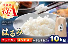 【先行予約】【特Aランク受賞実績あり！】はるみ 10kg【遠藤ファーム】開成町 米 ご飯 白米 お米 特A [BDAF002]