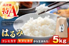 【先行予約】【特Aランク受賞実績あり！】はるみ 5kg【遠藤ファーム】開成町 米 ご飯 白米 お米 特A [BDAF001]
