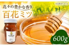 【先行予約】開成町の百花ミツ 600g【合同会社HealthPrime】開成町 蜂蜜 はちみつ ハチミツ 百花 [BDAO002]