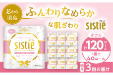 【全3回定期便(2ヵ月に1回)】クリネックス システィ（ダブル） 40ロール(4ロールｘ10パック)【日本製紙クレシア株式会社】開成町 トイレットペーパー トイレットロール ダブル まとめ買い  定期便 といれっとぺーぱー [BDAM005]