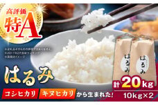 【先行予約】【特Aランク受賞実績あり！】はるみ 20kg(10kg×2袋)【遠藤ファーム】開成町 米 ご飯 白米 お米 特A [BDAF003]