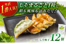 【1パック】餃子屋ヒロの 人気のしそ餃子【餃子屋ヒロ】国産 肉 餃子 ぎょうざ ギョーザ ギョウザ 小分け 人気 餃子 おすすめ 餃子 冷凍 おかず おつまみ 名店 ご当地グルメ 神奈川県 開成町 [BDAS003-1]