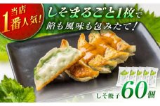 【5パック】餃子屋ヒロの 人気のしそ餃子 【餃子屋ヒロ】国産 肉 餃子 ぎょうざ ギョーザ ギョウザ 小分け 人気 餃子 おすすめ 餃子 冷凍 おかず おつまみ 名店 ご当地グルメ 神奈川県 開成町  [BDAS003-3]