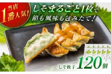 【10パック】餃子屋ヒロの 人気のしそ餃子【餃子屋ヒロ】国産 肉 餃子 ぎょうざ ギョーザ ギョウザ 小分け 人気 餃子 おすすめ 餃子 冷凍 おかず おつまみ 名店 ご当地グルメ 神奈川県 開成町  [BDAS003-4]