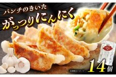 夏のスタミナ！がっつりにんにく餃子 14個（1パック）【餃子屋ヒロ】餃子 ぎょうざ ギョウザ ギョーザ 冷凍餃子 豚肉 豚 ミンチ 餃子 神奈川 冷凍 餃子 ぎょうざ ギョウザ ギョーザ 冷凍 餃子 おかず お惣菜 餃子 ぎょうざ ギョウザ ギョーザ 豚肉 豚 ミンチ 冷凍 餃子 ぎょうざ ギョウザ ギョーザ[BDAS004-1]