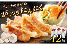 （3パック）開成町の 餃子 がっつりにんにく 餃子 42個(14個入×3パック)【餃子屋ヒロ】餃子 ぎょうざ ギョウザ ギョーザ 豚肉 豚 ミンチ 餃子 神奈川 冷凍 餃子 ぎょうざ ギョウザ ギョーザ 冷凍 餃子 おかず お惣菜 餃子 ぎょうざ ギョウザ ギョーザ 豚肉 豚 ミンチ 冷凍 餃子 ぎょうざ ギョウザ ギョーザ [BDAS004-2]