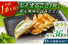 【全6回定期便】【3パック】餃子屋ヒロの 人気のしそ餃子【餃子屋ヒロ】開成町 餃子 点心 惣菜 冷凍 [BDAS011]