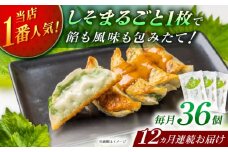 【全12回定期便】【3パック】餃子屋ヒロの 人気のしそ餃子【餃子屋ヒロ】開成町 餃子 点心 惣菜 冷凍 [BDAS012]