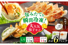 【計6パック】餃子屋ヒロの大人気餃子セット＋特製味噌ダレ付【餃子屋ヒロ】開成町 餃子 点心 惣菜 冷凍 [BDAS009-3]