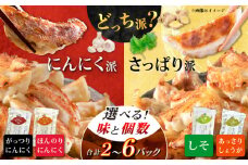 【あなたはどっち派？】選べる餃子2種セット！【餃子屋ヒロ】開成町 餃子　点心 惣菜 冷凍 [BDAS008]