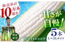 【先行予約】【数量限定】白いとうもろこし ホワイトショコラ 5本【文命農業】開成町 野菜 とうもろこし トウモロコシ ホワイトショコラ [BDAX001]