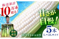 【先行予約】【数量限定】白いとうもろこし ホワイトショコラ 5本【文命農業】開成町 野菜 とうもろこし トウモロコシ ホワイトショコラ [BDAX001]