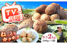 【先行予約】【メディア多数掲載！開成弥一芋】ホクホクねっとりやわらか〜い里芋 2キロ【文命農業】開成町 サトイモ さといも 野菜 [BDAX002]