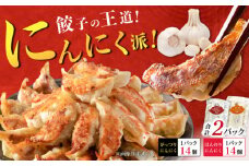 【王道！にんにく派×1パック】餃子2種セット！【餃子屋ヒロ】開成町 餃子 点心 惣菜 冷凍 [BDAS008-1]