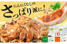 【さっぱり！しそ＆しょうが派×3パック】餃子2種セット！【餃子屋ヒロ】開成町 餃子 点心 惣菜 冷凍 [BDAS008-6]
