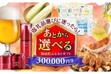 【あとから選べる】開成町ふるさとギフト 30万円分 あとから寄附 選べる寄附 ティッシュ トイレットペーパー 化粧品 餃子 体験 お茶 日本酒 定期便 神奈川 開成町 [BDZZ009]