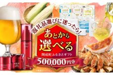 【あとから選べる】開成町ふるさとギフト 50万円分 あとから寄附 選べる寄附 ティッシュ トイレットペーパー 化粧品 餃子 体験 お茶 日本酒 定期便 神奈川 開成町 [BDZZ010]