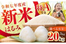 選べる容量！【令和7年産】【特Aランク受賞実績あり！】はるみ 3kg 5kg 10kg 20kg【井上農園】 米 お米 精米 白米 はるみ 新米 令和7年産 [BDBB001]