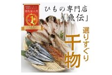 魚伝特製　干物セット【1006545】