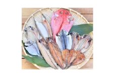 真鶴特産ひもの(5～7種類合計10～15匹位)を1年間毎月1回の定期便でお届けプラン【1032836】