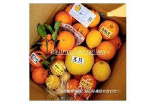 みかん色々!季節の柑橘詰合せ5kg 色んな種類が一箱に詰まった楽しいみかんBoxです＜先行受付＞【1531518】