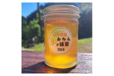 松本農園産　みかん蜂蜜　185g【1547153】