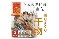 魚伝特製　干物セット×3【1900625】