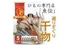 魚伝特製　干物セット×5【1900626】