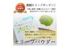オリーブパウダー(20g×1個)とティーバッグ(2g×10個)の詰合わせ【1574482】