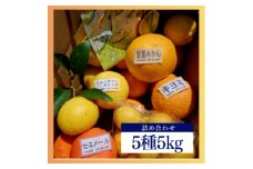 新茶とみかん季節の柑橘詰め合わせ5種5kg一箱でいろんな味が楽しめる農家直送みかんBox＜先行受付＞【1617064】