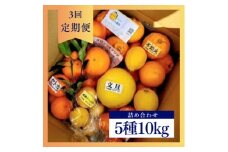 ＜発送月固定定期便＞1～3月季節の柑橘詰め合わせ10kg(3回定期便)毎月違う楽しい柑橘Box全3回【4072436】