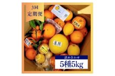 ＜発送月固定定期便＞1～3月の季節の柑橘詰め合わせ5kg(3回定期便)毎月違う楽しい柑橘Box全3回【4072435】