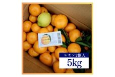 温州みかん5kgレモン入り★ 甘味と酸味のバランスが良く、濃厚な香りが特徴です＜先行受付＞【1531515】